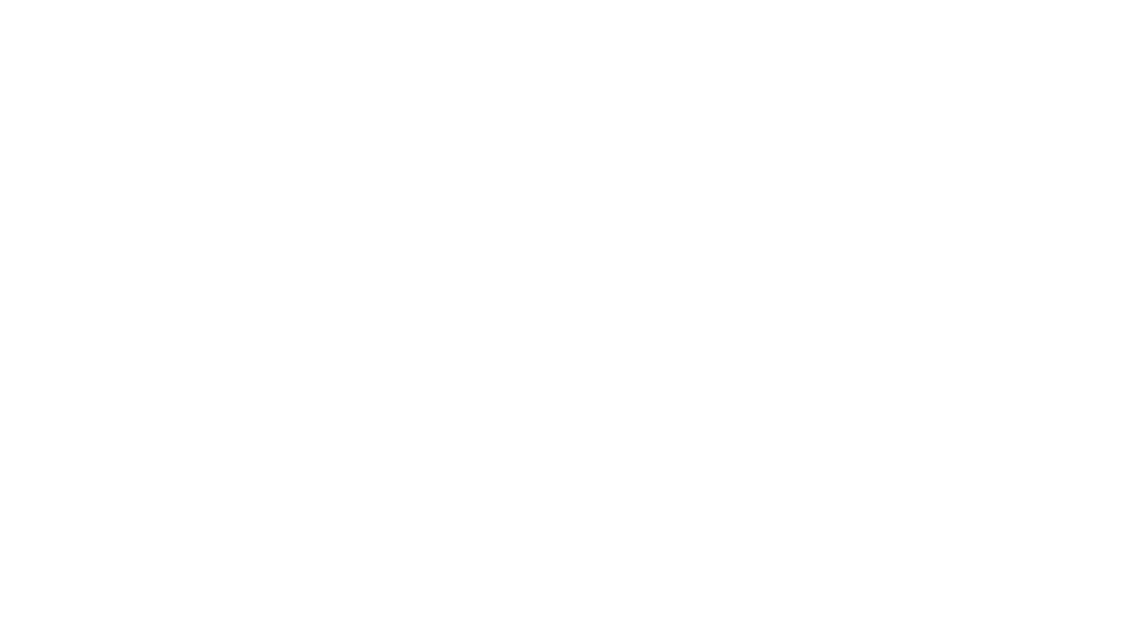 Focus ProMax Logo